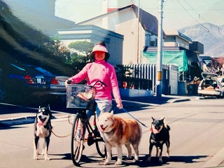 さっぽろ犬物語 With My Three Dogs in Sapporo, Hokkaido 2005 —2008